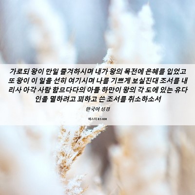 Picture 06 - 에스더 8:5 KOR - 가로되 왕이 만일 즐겨하시며 내가 - Bible Verse Picture