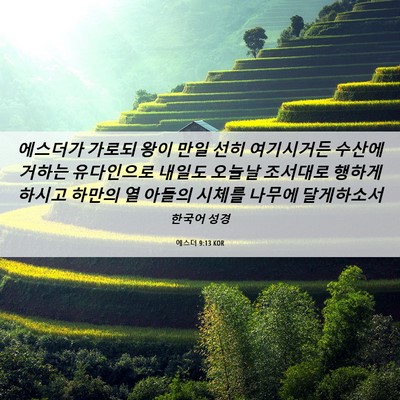 Picture 06 - 에스더 9:13 KOR - 에스더가 가로되 왕이 만일 선히 - Bible Verse Picture