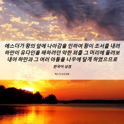 Picture 06 - 에스더 9:25 KOR - 에스더가 왕의 앞에 나아감을 인하여 - Bible Verse Picture