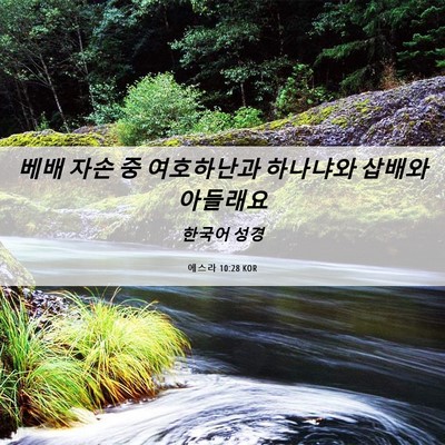 Picture 06 - 에스라 10:28 KOR - 베배 자손 중 여호하난과 하나냐와 - Bible Verse Picture