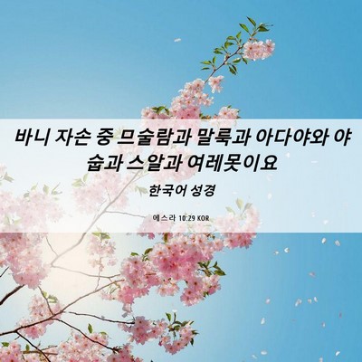 Picture 06 - 에스라 10:29 KOR - 바니 자손 중 므술람과 말룩과 - Bible Verse Picture
