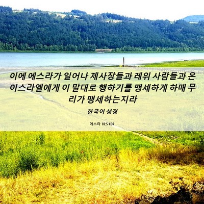 Picture 06 - 에스라 10:5 KOR - 이에 에스라가 일어나 제사장들과 - Bible Verse Picture
