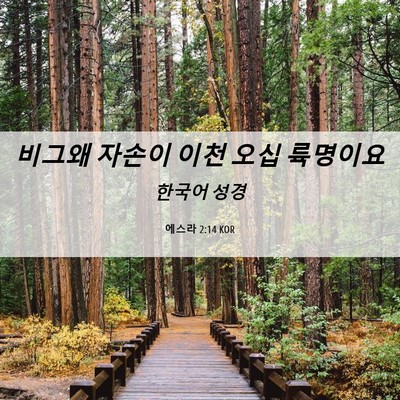 Picture 06 - 에스라 2:14 KOR - 비그왜 자손이 이천 오십 - Bible Verse Picture