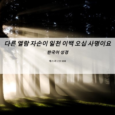 Picture 06 - 에스라 2:31 KOR - 다른 엘람 자손이 일천 이백 오십 - Bible Verse Picture