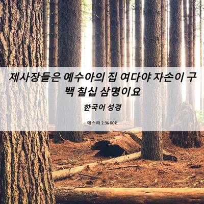 Picture 06 - 에스라 2:36 KOR - 제사장들은 예수아의 집 여다야 - Bible Verse Picture