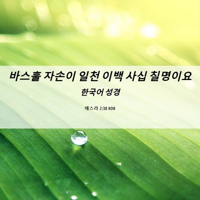 Picture 06 - 에스라 2:38 KOR - 바스훌 자손이 일천 이백 사십 - Bible Verse Picture