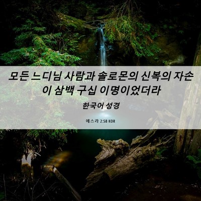 Picture 06 - 에스라 2:58 KOR - 모든 느디님 사람과 솔로몬의 신복의 - Bible Verse Picture