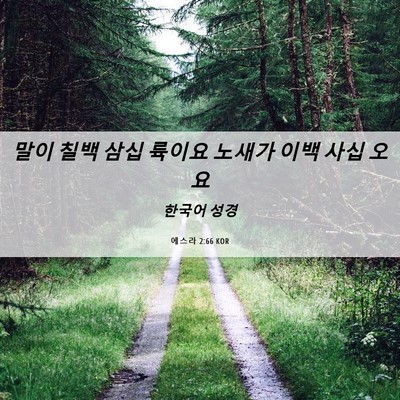 Picture 06 - 에스라 2:66 KOR - 말이 칠백 삼십 륙이요 노새가 이백 - Bible Verse Picture