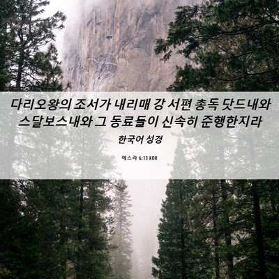 Picture 06 - 에스라 6:13 KOR - 다리오왕의 조서가 내리매 강 서편 - Bible Verse Picture