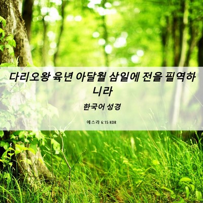 Picture 06 - 에스라 6:15 KOR - 다리오왕 육년 아달월 삼일에 전을 - Bible Verse Picture