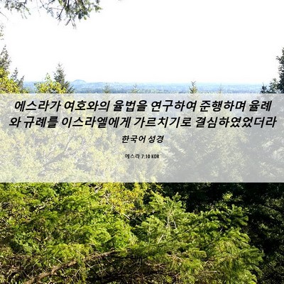 Picture 06 - 에스라 7:10 KOR - 에스라가 여호와의 율법을 연구하여 - Bible Verse Picture