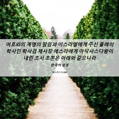 Picture 06 - 에스라 7:11 KOR - 여호와의 계명의 말씀과 - Bible Verse Picture