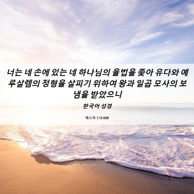 Picture 06 - 에스라 7:14 KOR - 너는 네 손에 있는 네 하나님의 - Bible Verse Picture