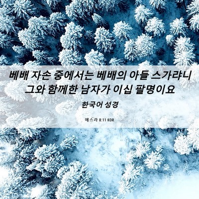 Picture 06 - 에스라 8:11 KOR - 베배 자손 중에서는 베배의 아들 - Bible Verse Picture