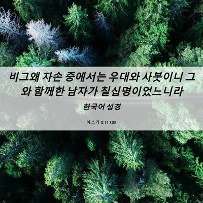 Picture 06 - 에스라 8:14 KOR - 비그왜 자손 중에서는 우대와 - Bible Verse Picture
