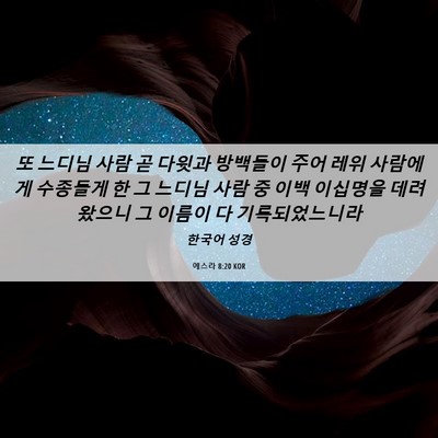 Picture 06 - 에스라 8:20 KOR - 또 느디님 사람 곧 다윗과 방백들이 - Bible Verse Picture