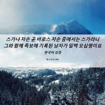 Picture 06 - 에스라 8:3 KOR - 스가냐 자손 곧 바로스 자손 - Bible Verse Picture