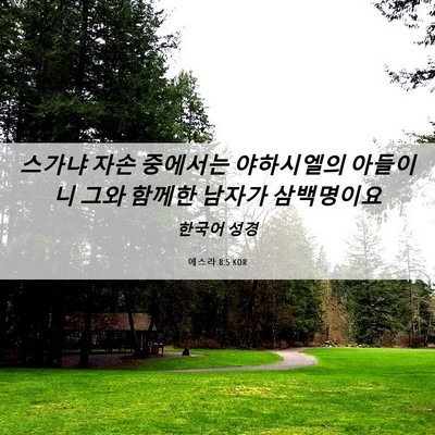 Picture 06 - 에스라 8:5 KOR - 스가냐 자손 중에서는 야하시엘의 - Bible Verse Picture