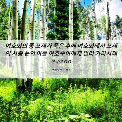 Picture 06 - 여호수아 1:1 KOR - 여호와의 종 모세가 죽은 후에 - Bible Verse Picture