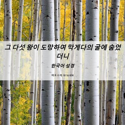 Picture 06 - 여호수아 10:16 KOR - 그 다섯 왕이 도망하여 막게다의 - Bible Verse Picture