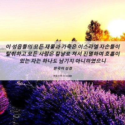 Picture 06 - 여호수아 11:14 KOR - 이 성읍들의 모든 재물과 가축은 - Bible Verse Picture