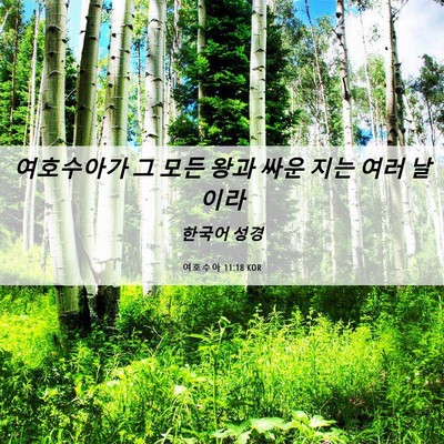 Picture 06 - 여호수아 11:18 KOR - 여호수아가 그 모든 왕과 싸운 지는 - Bible Verse Picture