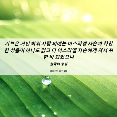 Picture 06 - 여호수아 11:19 KOR - 기브온 거민 히위 사람 외에는 - Bible Verse Picture