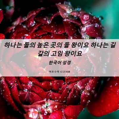 Picture 06 - 여호수아 12:23 KOR - 하나는 돌의 높은 곳의 돌 왕이요 - Bible Verse Picture
