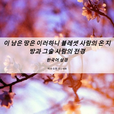 Picture 06 - 여호수아 13:2 KOR - 이 남은 땅은 이러하니 블레셋 - Bible Verse Picture