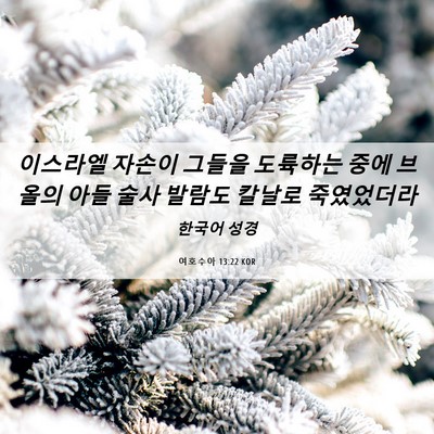Picture 06 - 여호수아 13:22 KOR - 이스라엘 자손이 그들을 도륙하는 - Bible Verse Picture