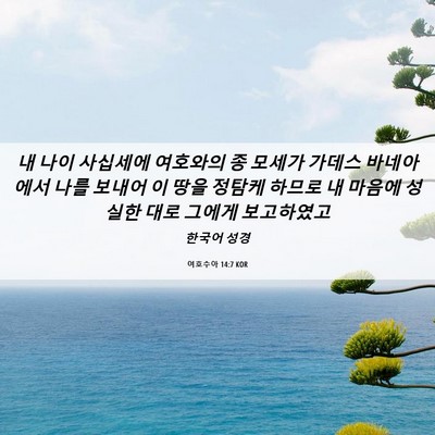 Picture 06 - 여호수아 14:7 KOR - 내 나이 사십세에 여호와의 종 - Bible Verse Picture