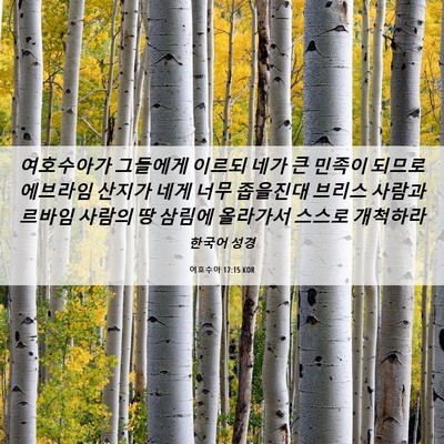 Picture 06 - 여호수아 17:15 KOR - 여호수아가 그들에게 이르되 네가 큰 - Bible Verse Picture