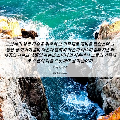 Picture 06 - 여호수아 17:2 KOR - 므낫세의 남은 자손을 위하여 그 - Bible Verse Picture