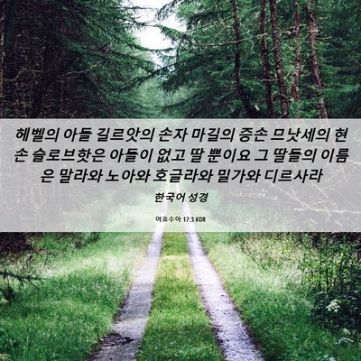 Picture 06 - 여호수아 17:3 KOR - 헤벨의 아들 길르앗의 손자 마길의 - Bible Verse Picture
