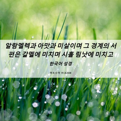 Picture 06 - 여호수아 19:26 KOR - 알람멜렉과 아맛과 미살이며 그 - Bible Verse Picture