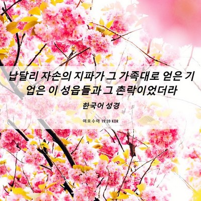 Picture 06 - 여호수아 19:39 KOR - 납달리 자손의 지파가 그 가족대로 - Bible Verse Picture
