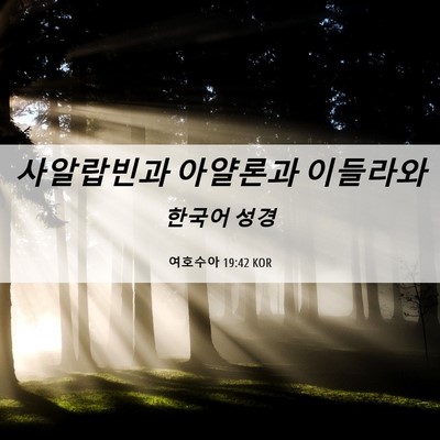 Picture 06 - 여호수아 19:42 KOR - 사알랍빈과 아얄론과 - Bible Verse Picture