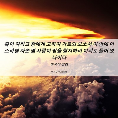 Picture 06 - 여호수아 2:2 KOR - 혹이 여리고 왕에게 고하여 가로되 - Bible Verse Picture