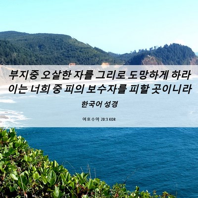 Picture 06 - 여호수아 20:3 KOR - 부지중 오살한 자를 그리로 도망하게 - Bible Verse Picture
