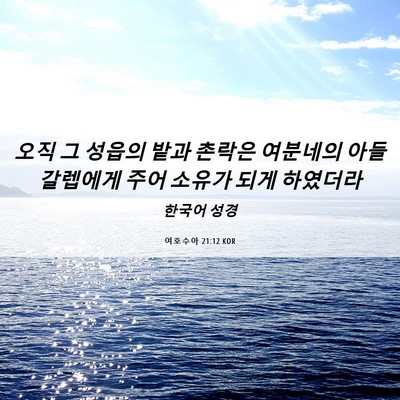 Picture 06 - 여호수아 21:12 KOR - 오직 그 성읍의 밭과 촌락은 - Bible Verse Picture