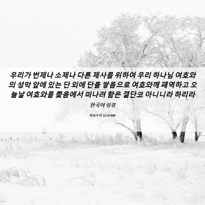 Picture 06 - 여호수아 22:29 KOR - 우리가 번제나 소제나 다른 제사를 - Bible Verse Picture