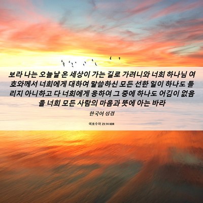 Picture 06 - 여호수아 23:14 KOR - 보라 나는 오늘날 온 세상이 가는 - Bible Verse Picture