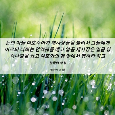 Picture 06 - 여호수아 6:6 KOR - 눈의 아들 여호수아가 제사장들을 - Bible Verse Picture