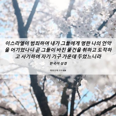 Picture 06 - 여호수아 7:11 KOR - 이스라엘이 범죄하여 내가 그들에게 - Bible Verse Picture