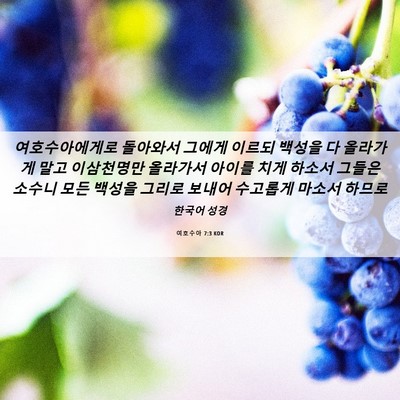 Picture 06 - 여호수아 7:3 KOR - 여호수아에게로 돌아와서 그에게 - Bible Verse Picture