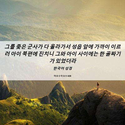 Picture 06 - 여호수아 8:11 KOR - 그를 좇은 군사가 다 올라가서 성읍 - Bible Verse Picture