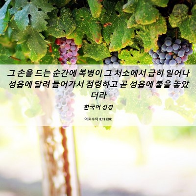 Picture 06 - 여호수아 8:19 KOR - 그 손을 드는 순간에 복병이 그 - Bible Verse Picture