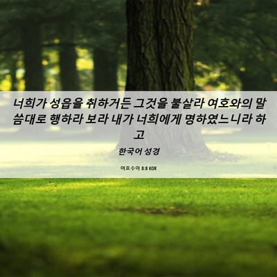 Picture 06 - 여호수아 8:8 KOR - 너희가 성읍을 취하거든 그것을 - Bible Verse Picture