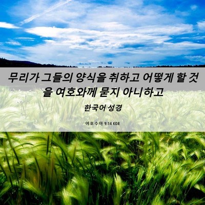 Picture 06 - 여호수아 9:14 KOR - 무리가 그들의 양식을 취하고 어떻게 - Bible Verse Picture