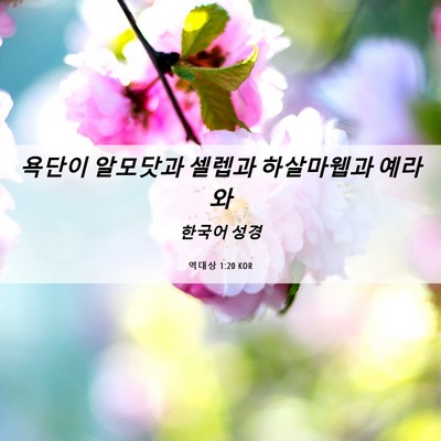 Picture 06 - 역대상 1:20 KOR - 욕단이 알모닷과 셀렙과 하살마웹과 - Bible Verse Picture
